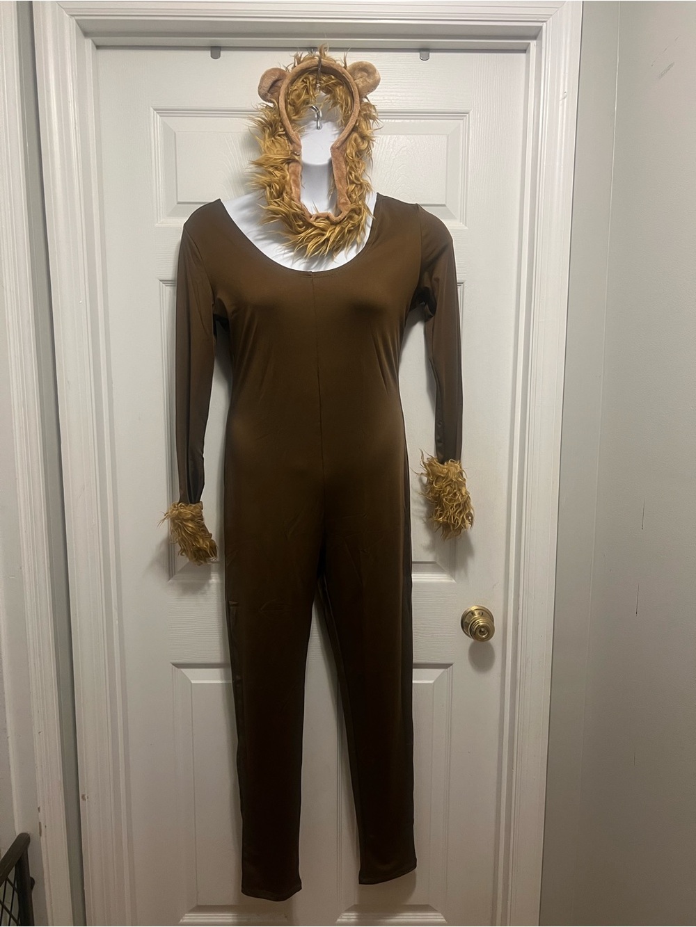 Ladies Lion Costume